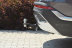 Фаркоп PT GROUP HSF-21-991101.22 на HYUNDAI Santa Fe 2021-/ KIA Sorento 2021- | Быстросъемный крюк под американский квадрат